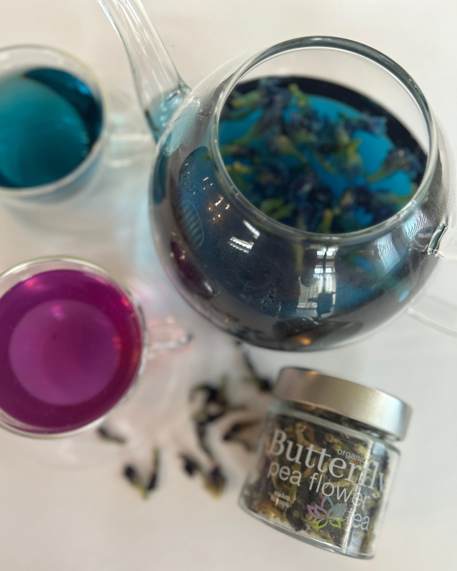 Butterfly Pea Flower Tea in clear teapot with an open jar of butterfly pea flowers and mugs of both blue and purple tea 