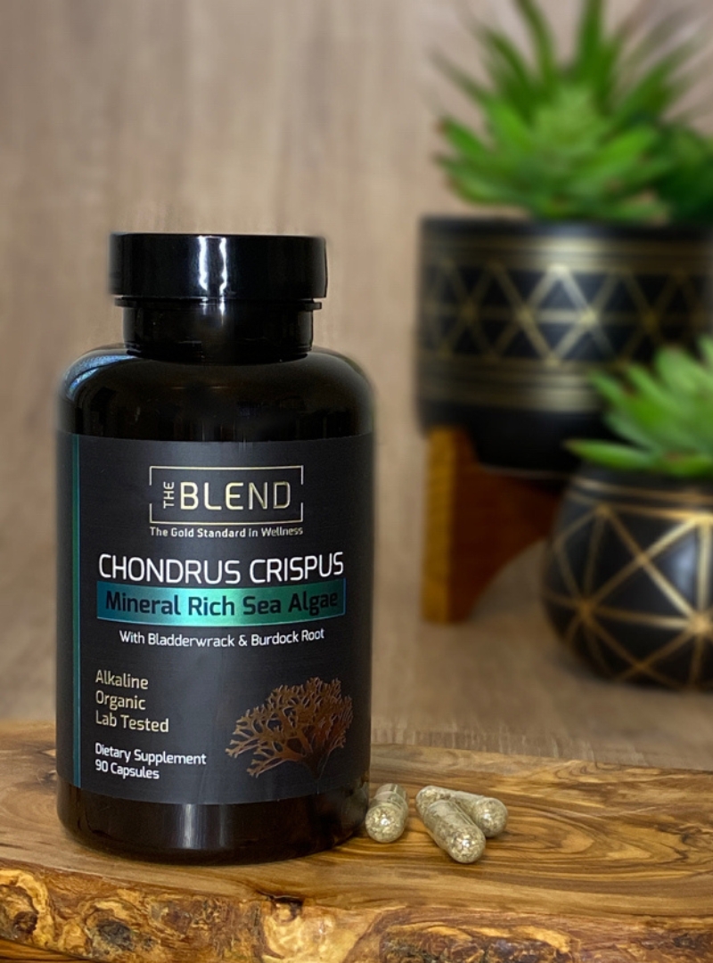 The Blend Chondrus Crispus Irish Sea Moss and Bladderwrack and Burdock Root bottle on wooden base with 3 capsules out